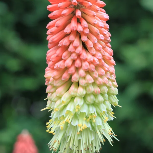 赌博游戏棋牌游戏